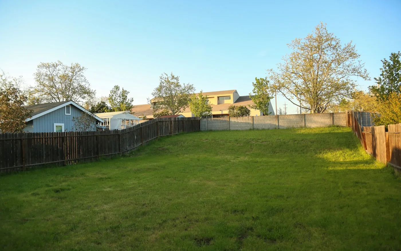 The same yard with a green, evenly established lawn, the same timber fence and block wall behind it.