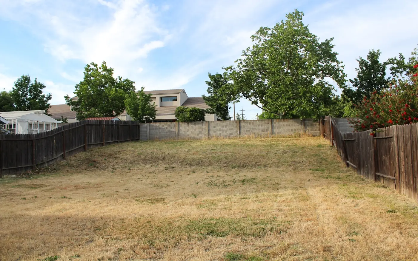 A back yard of drought-burnt patchy grass, with a timber fence and a block wall behind it.