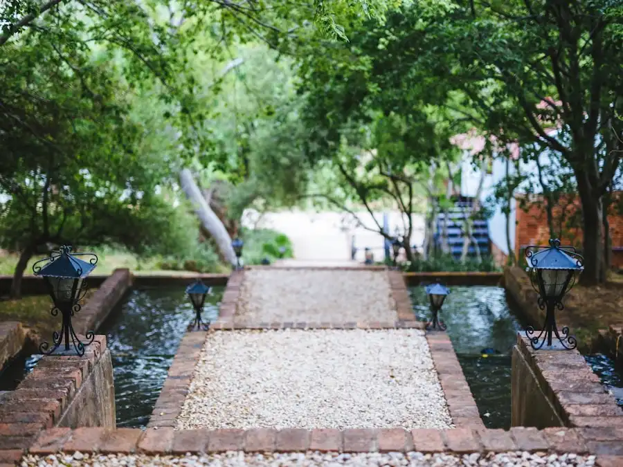 Hydroseeding & Erosion Control project in Lakeway