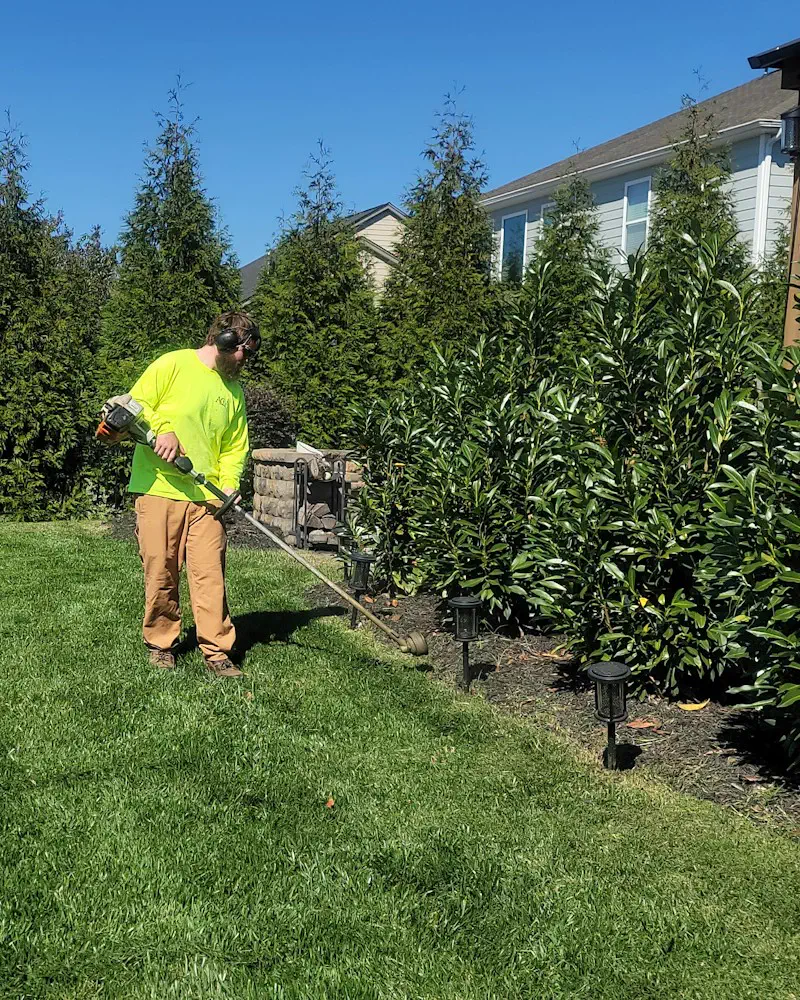 A string trimmer edging a maintained lawn